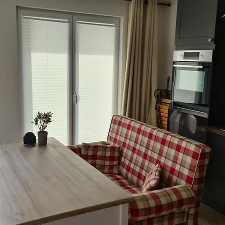 Lieblingszeit Im Kuestenwald Graal-mueritz