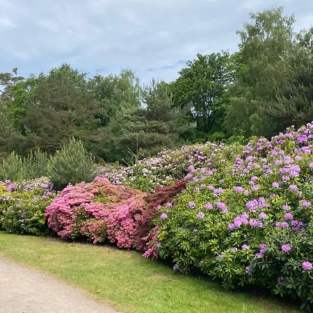 Lieblingszeit Im Kuestenwald Graal-mueritz * Gelbensande